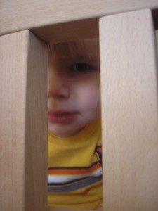 Reed's building a city
