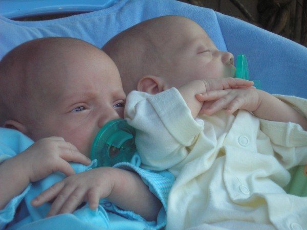 07/01/09 - They love being next to each other