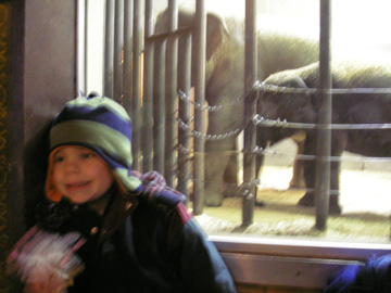 The baby elephant showed off for the kids